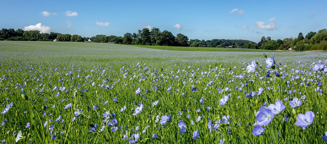 Sustainable Sewing: The Environmental Benefits of Linen Fabric