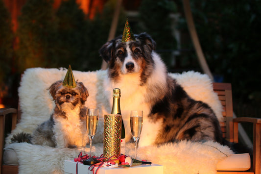 20 Alternative Ways to Celebrate New Year's Eve