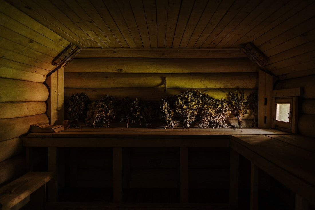 Historical Significance of Saunas